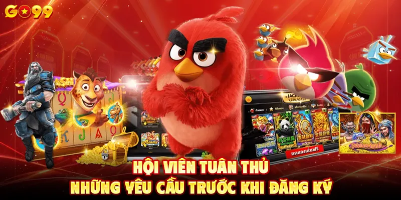 Hội viên tuân thủ những yêu cầu trước khi đăng ký