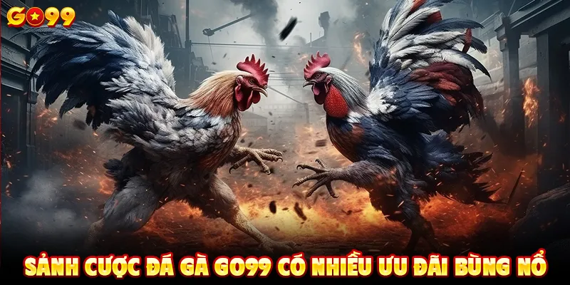 Sảnh cược đá gà GO99 có nhiều ưu đãi bùng nổ